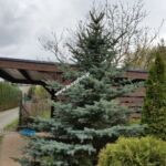 2063163456 - Galeria