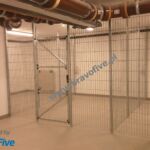 2052422487 - Galeria