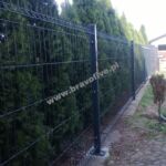 1010513961 - Galeria