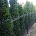 3843117567 - Galeria