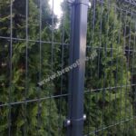 3974444588 - Galeria