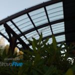 2911902177 - Galeria