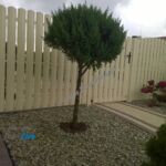 357860721 - Galeria