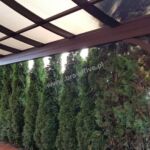 3086543906 - Galeria